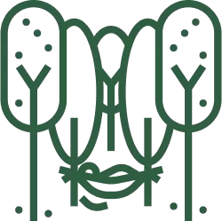 Area verde