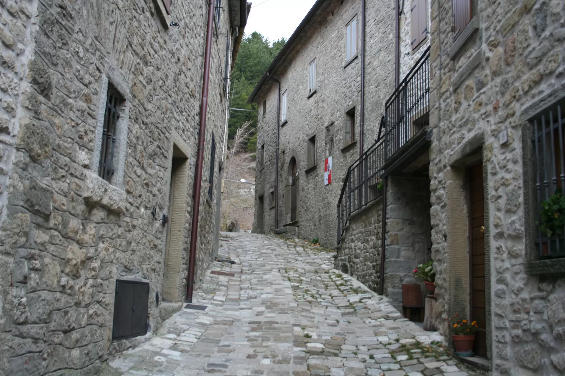 Senatello