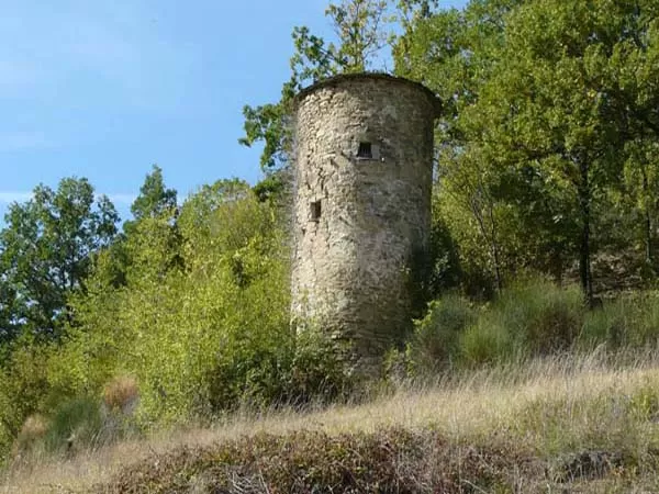 Monte