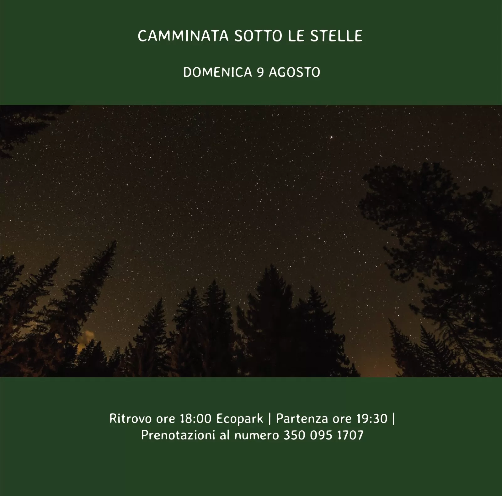 Camminata Sotto alle Stelle con Altaterra